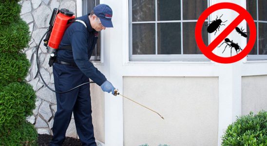 Suruç Bit İlaçlama böcek ilaçlama ve haşere kontrolü — ilaclama-tr.com